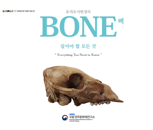 유적조사현장의 뼈(BONE)